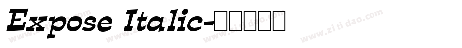 Expose Italic字体转换